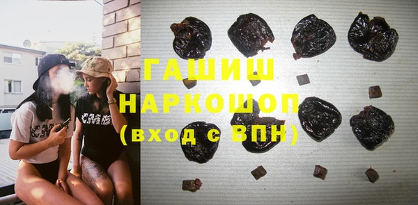 крисы Сатка