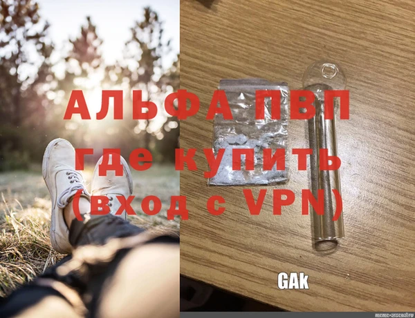 спайс Ростов