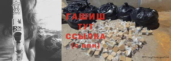 крисы Сатка